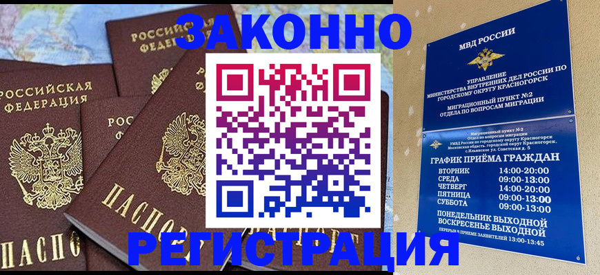 временная регистрация надежно в Элисте